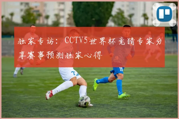 独家专访：CCTV5世界杯竞猜专家分享赛事预测独家心得