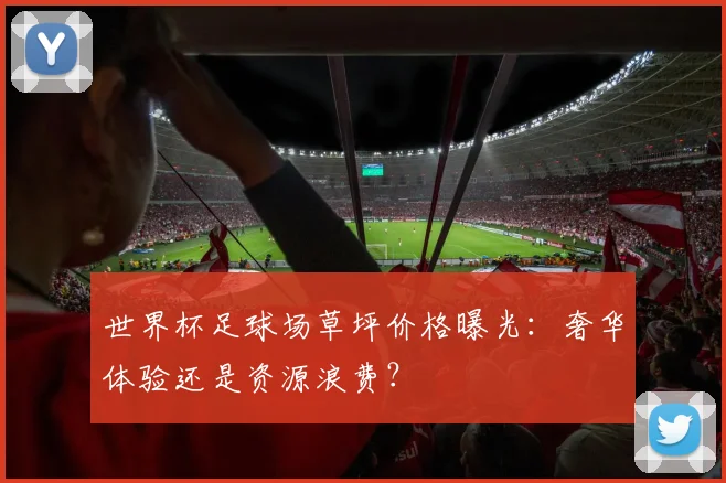 世界杯足球场草坪价格曝光：奢华体验还是资源浪费？