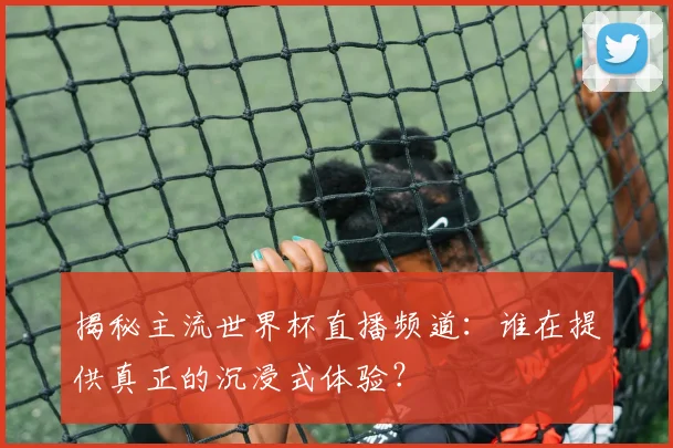 揭秘主流世界杯直播频道：谁在提供真正的沉浸式体验？