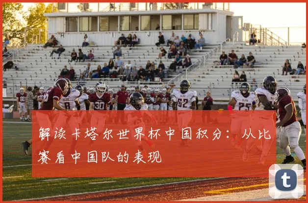 解读卡塔尔世界杯中国积分：从比赛看中国队的表现