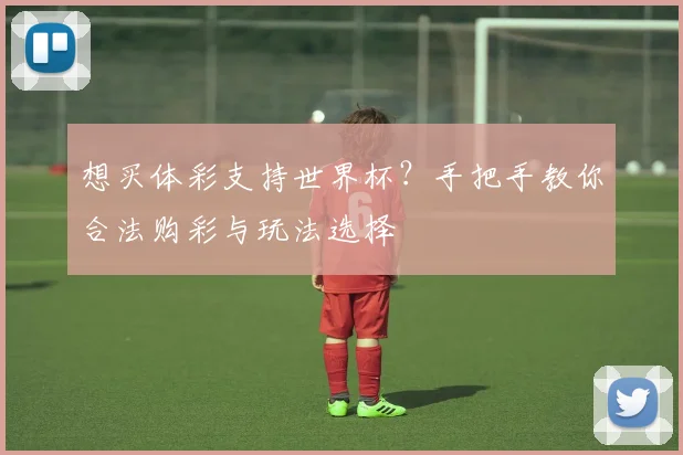 想买体彩支持世界杯？手把手教你合法购彩与玩法选择