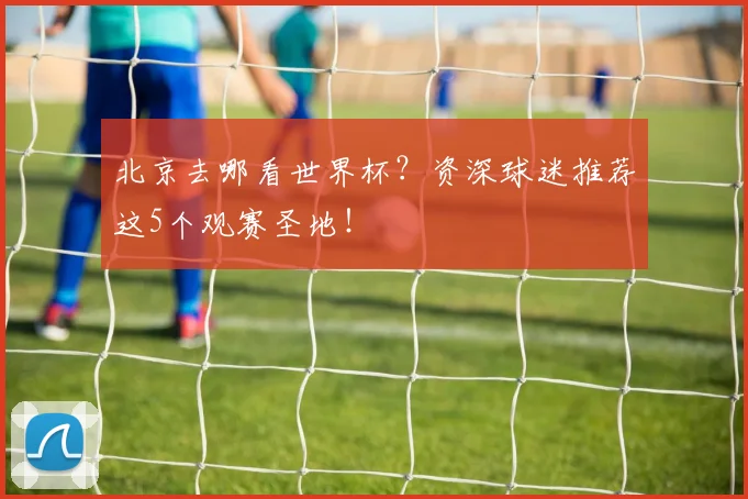 北京去哪看世界杯？资深球迷推荐这5个观赛圣地！