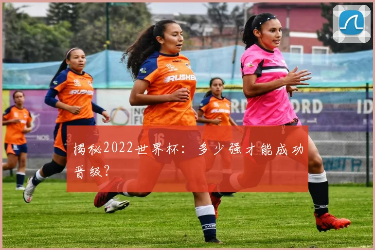 揭秘2022世界杯：多少强才能成功晋级？