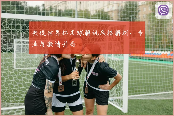 央视世界杯足球解说风格解析,专业与激情并存