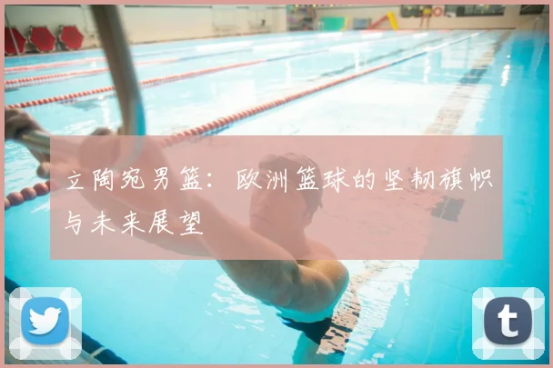 立陶宛男篮：欧洲篮球的坚韧旗帜与未来展望